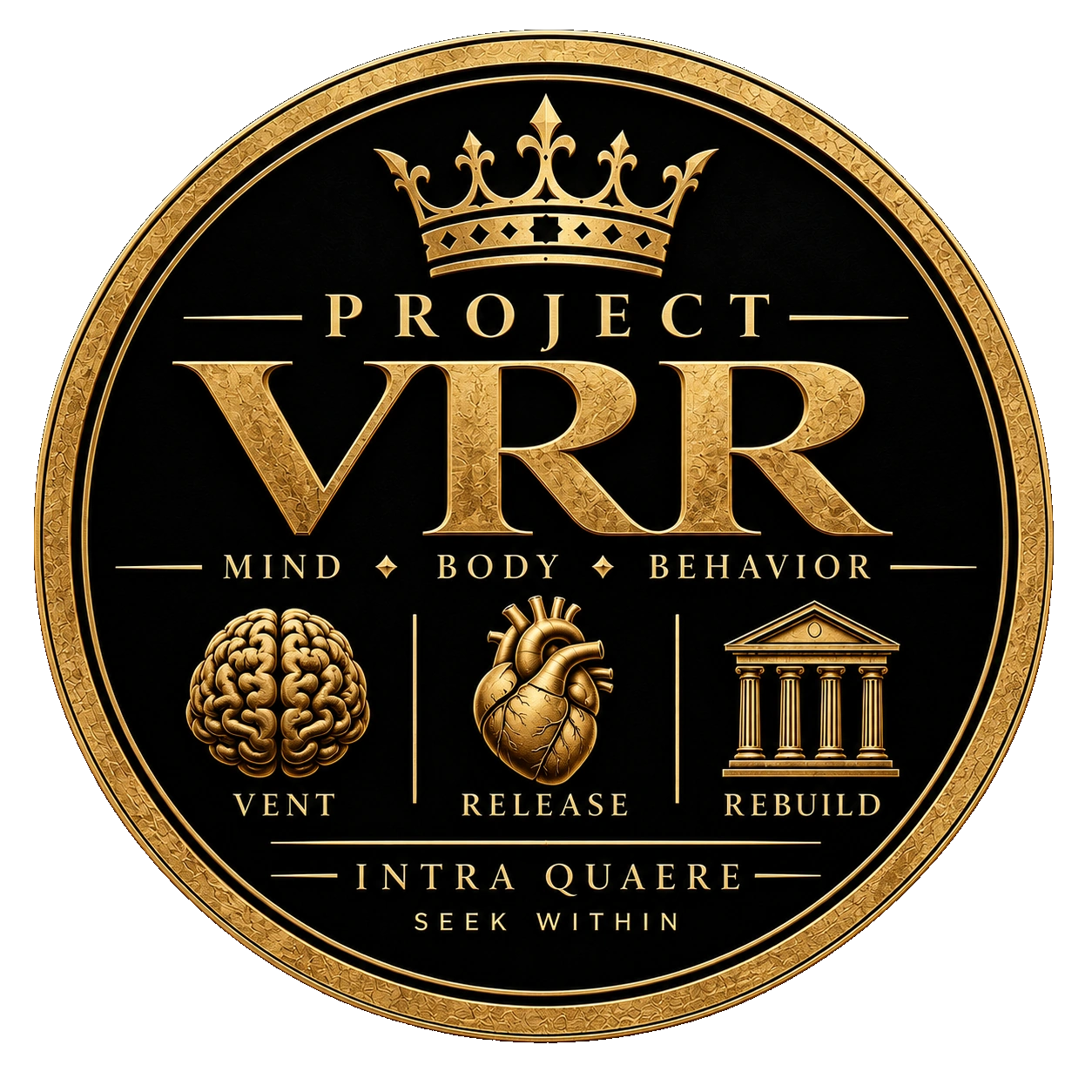 Project VRR official crest